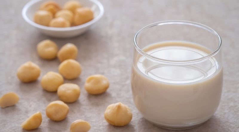 Cách chế biến hạt macca thành sữa thơm ngon